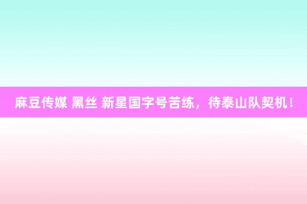 麻豆传媒 黑丝 新星国字号苦练，待泰山队契机！