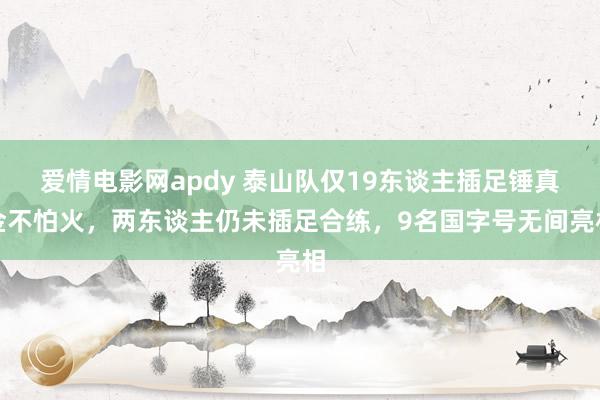 爱情电影网apdy 泰山队仅19东谈主插足锤真金不怕火，两东谈主仍未插足合练，9名国字号无间亮相