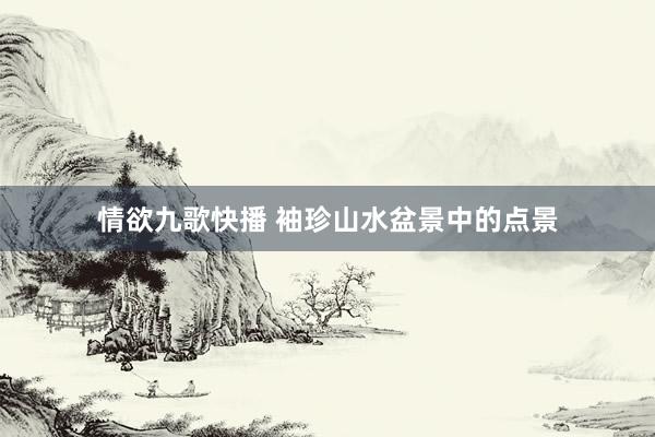情欲九歌快播 袖珍山水盆景中的点景