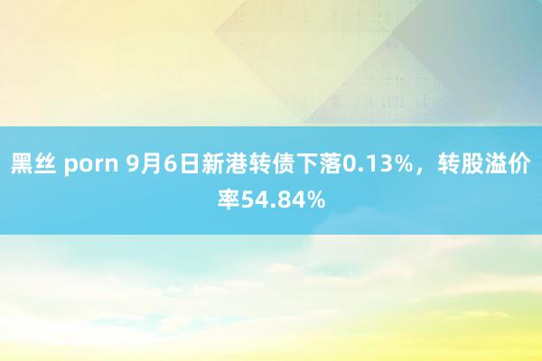黑丝 porn 9月6日新港转债下落0.13%，转股溢价率54.84%