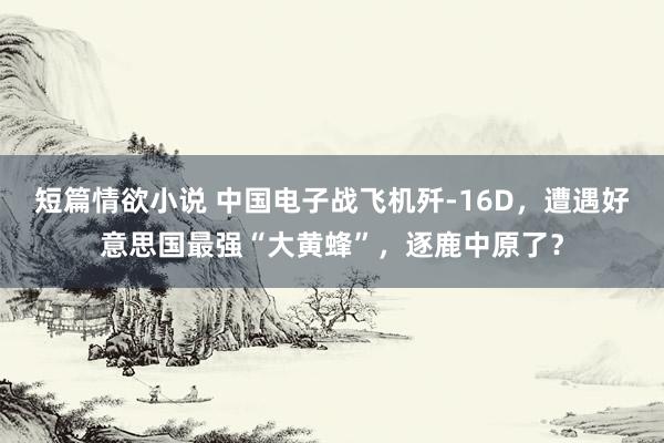 短篇情欲小说 中国电子战飞机歼-16D，遭遇好意思国最强“大黄蜂”，逐鹿中原了？