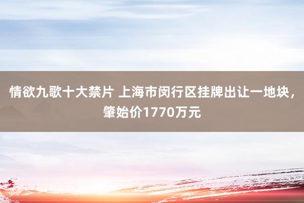 情欲九歌十大禁片 上海市闵行区挂牌出让一地块，肇始价1770万元