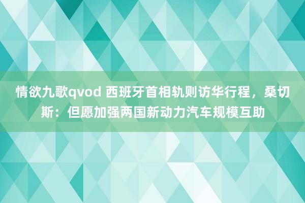情欲九歌qvod 西班牙首相轨则访华行程，桑切斯：但愿加强两国新动力汽车规模互助