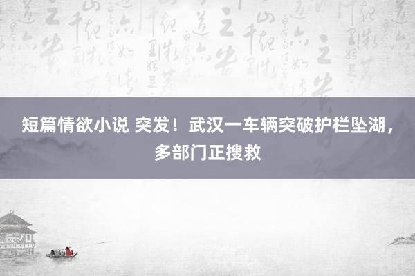 短篇情欲小说 突发！武汉一车辆突破护栏坠湖，多部门正搜救