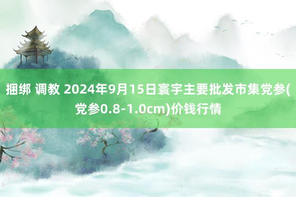 捆绑 调教 2024年9月15日寰宇主要批发市集党参(党参0.8-1.0cm)价钱行情