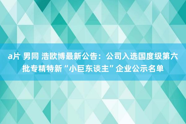 a片 男同 浩欧博最新公告：公司入选国度级第六批专精特新“小巨东谈主”企业公示名单