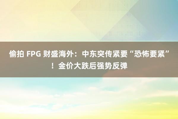 偷拍 FPG 财盛海外：中东突传紧要“恐怖要紧”！金价大跌后强势反弹