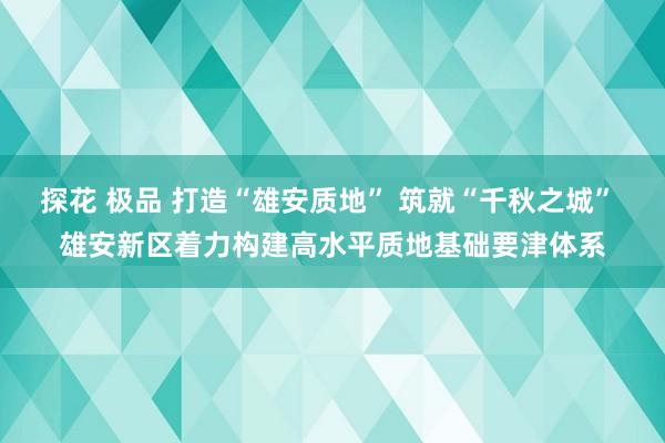 探花 极品 打造“雄安质地” 筑就“千秋之城” 雄安新区着力构建高水平质地基础要津体系
