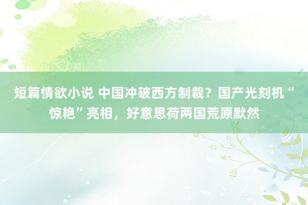 短篇情欲小说 中国冲破西方制裁？国产光刻机“惊艳”亮相，好意思荷两国荒原默然