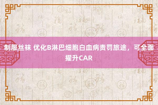 制服丝袜 优化B淋巴细胞白血病责罚旅途，可全面擢升CAR