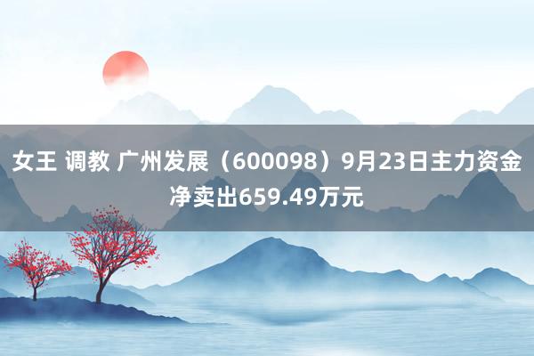 女王 调教 广州发展（600098）9月23日主力资金净卖出659.49万元