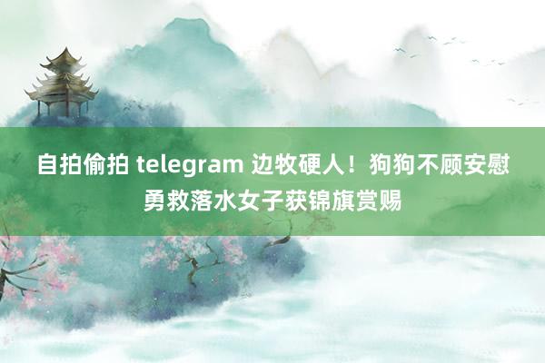 自拍偷拍 telegram 边牧硬人！狗狗不顾安慰勇救落水女子获锦旗赏赐