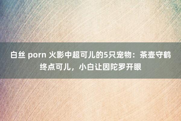 白丝 porn 火影中超可儿的5只宠物：茶壶守鹤终点可儿，小白让因陀罗开眼
