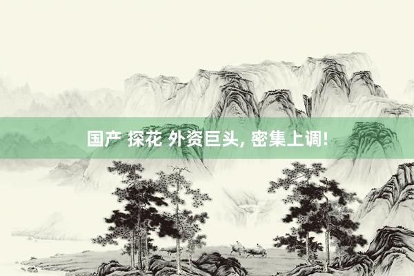 国产 探花 外资巨头， 密集上调!