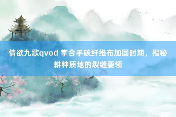 情欲九歌qvod 掌合手碳纤维布加固时期，揭秘耕种质地的裂缝要领
