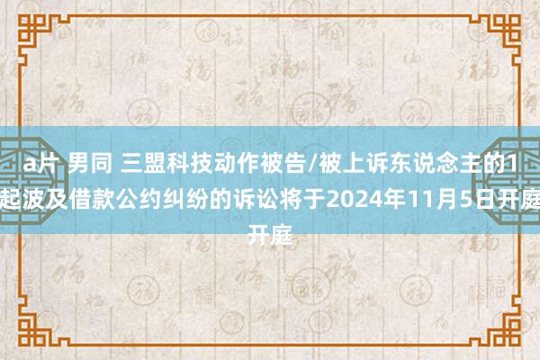 a片 男同 三盟科技动作被告/被上诉东说念主的1起波及借款公约纠纷的诉讼将于2024年11月5日开庭