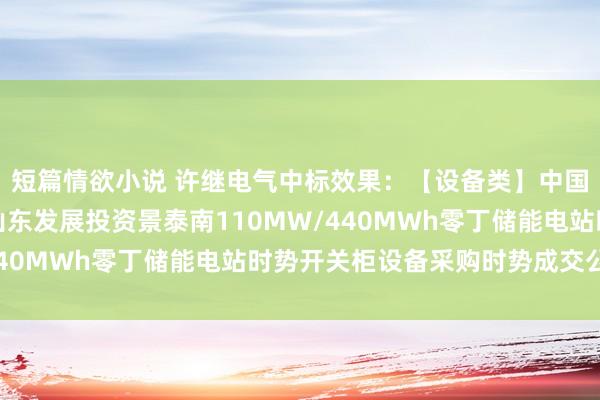 短篇情欲小说 许继电气中标效果：【设备类】中国电建山东电建三公司山东发展投资景泰南110MW/440MWh零丁储能电站时势开关柜设备采购时势成交公示