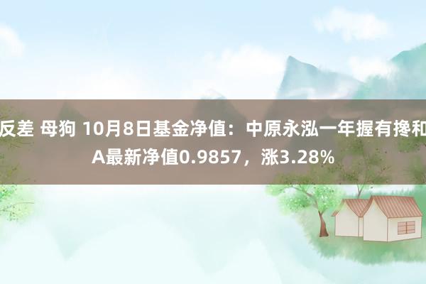 反差 母狗 10月8日基金净值：中原永泓一年握有搀和A最新净值0.9857，涨3.28%