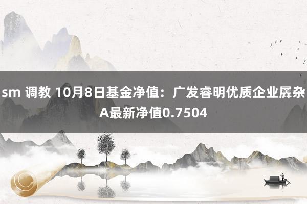 sm 调教 10月8日基金净值：广发睿明优质企业羼杂A最新净值0.7504