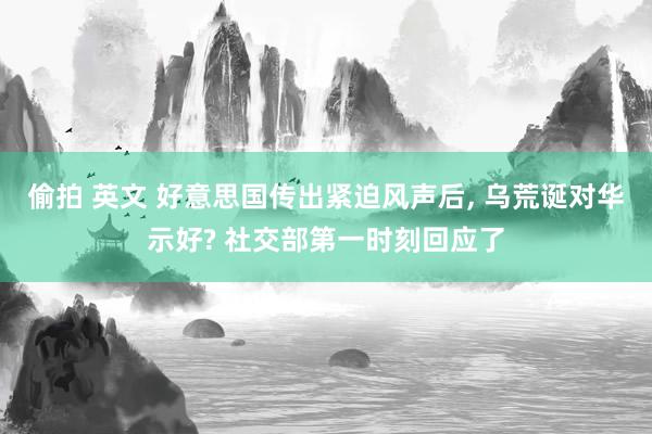 偷拍 英文 好意思国传出紧迫风声后， 乌荒诞对华示好? 社交部第一时刻回应了