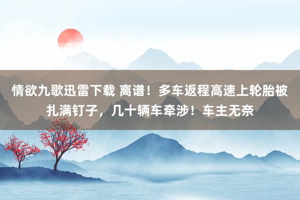 情欲九歌迅雷下载 离谱！多车返程高速上轮胎被扎满钉子，几十辆车牵涉！车主无奈