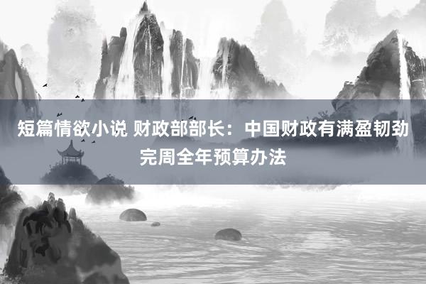 短篇情欲小说 财政部部长：中国财政有满盈韧劲完周全年预算办法