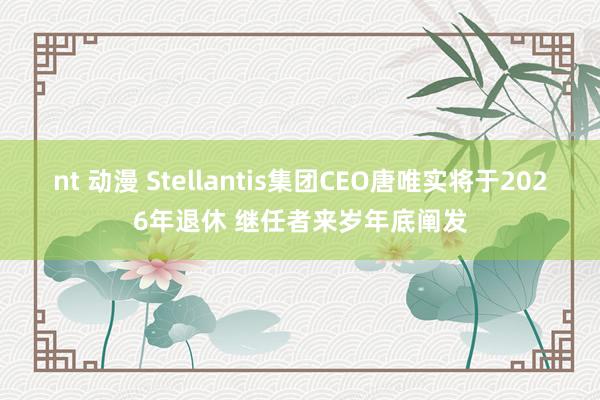 nt 动漫 Stellantis集团CEO唐唯实将于2026年退休 继任者来岁年底阐发