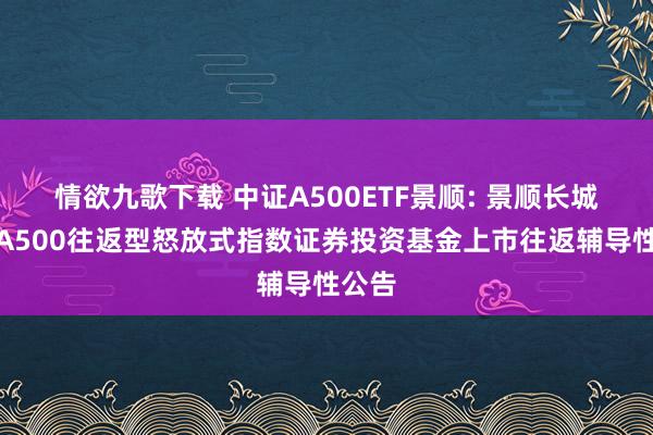 情欲九歌下载 中证A500ETF景顺: 景顺长城中证A500往返型怒放式指数证券投资基金上市往返辅导性公告