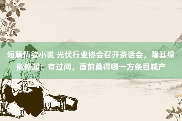 短篇情欲小说 光伏行业协会召开茶话会，隆基绿能修起：有过问，面前莫得哪一方条目减产