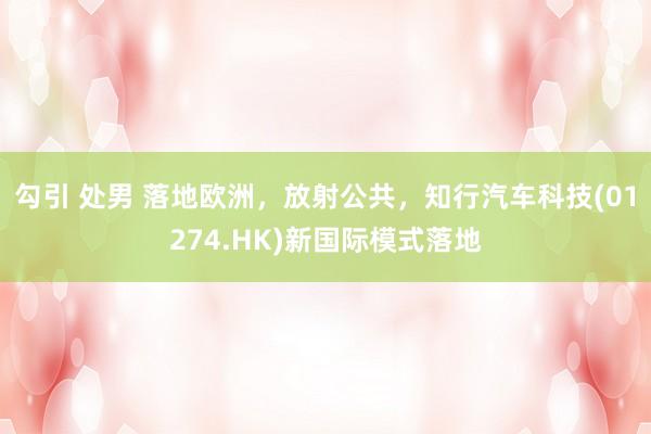 勾引 处男 落地欧洲，放射公共，知行汽车科技(01274.HK)新国际模式落地
