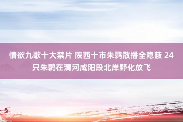情欲九歌十大禁片 陕西十市朱鹮散播全隐蔽 24只朱鹮在渭河咸阳段北岸野化放飞