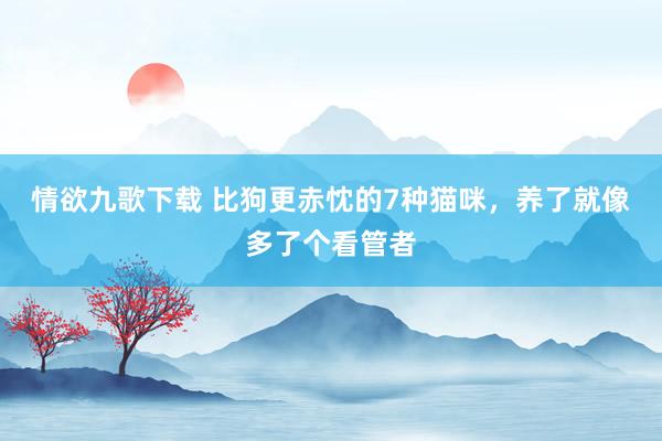 情欲九歌下载 比狗更赤忱的7种猫咪，养了就像多了个看管者