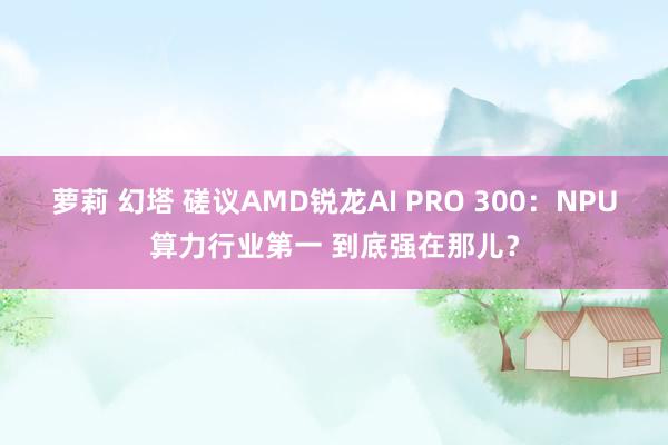萝莉 幻塔 磋议AMD锐龙AI PRO 300：NPU算力行业第一 到底强在那儿？