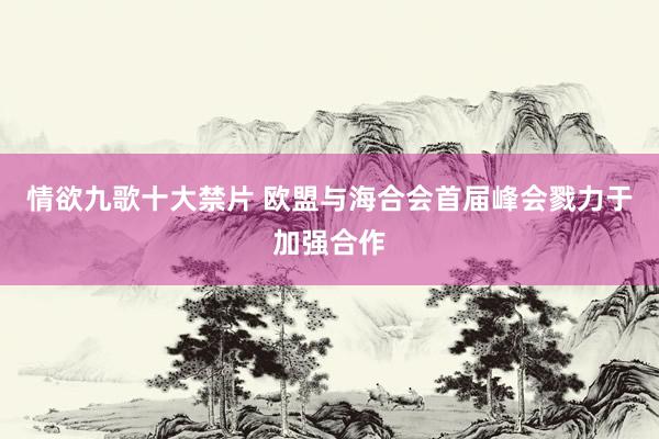 情欲九歌十大禁片 欧盟与海合会首届峰会戮力于加强合作