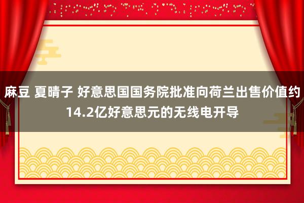 麻豆 夏晴子 好意思国国务院批准向荷兰出售价值约14.2亿好意思元的无线电开导