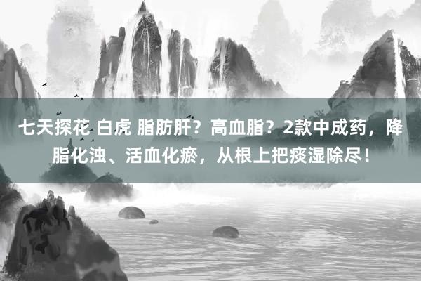 七天探花 白虎 脂肪肝？高血脂？2款中成药，降脂化浊、活血化瘀，从根上把痰湿除尽！