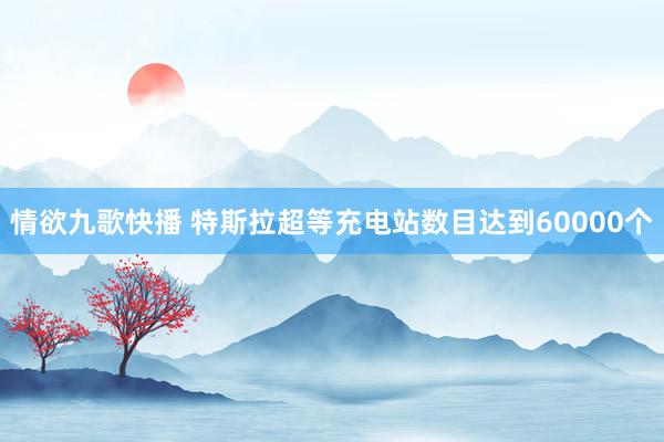 情欲九歌快播 特斯拉超等充电站数目达到60000个