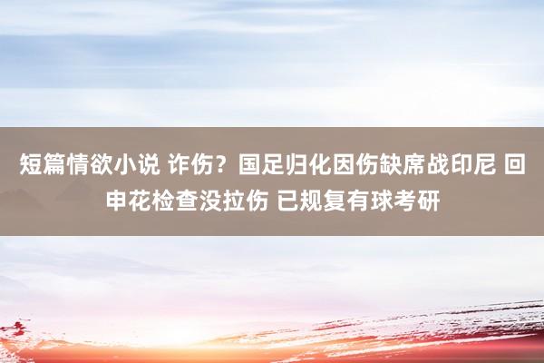 短篇情欲小说 诈伤？国足归化因伤缺席战印尼 回申花检查没拉伤 已规复有球考研