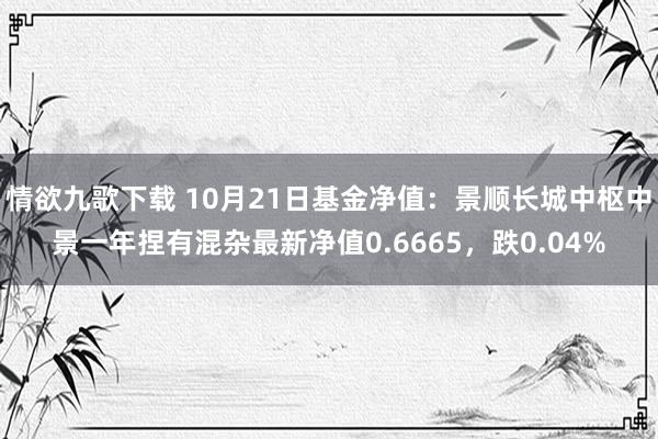 情欲九歌下载 10月21日基金净值：景顺长城中枢中景一年捏有混杂最新净值0.6665，跌0.04%