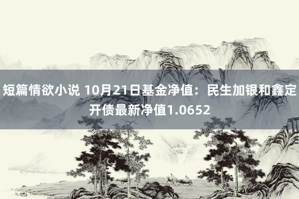 短篇情欲小说 10月21日基金净值：民生加银和鑫定开债最新净值1.0652