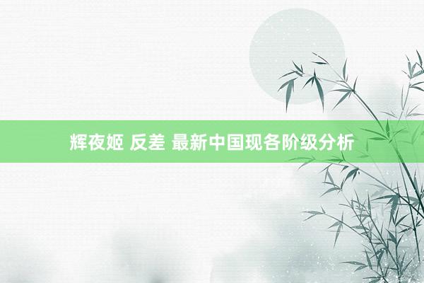 辉夜姬 反差 最新中国现各阶级分析