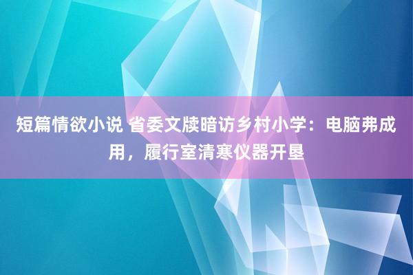 短篇情欲小说 省委文牍暗访乡村小学：电脑弗成用，履行室清寒仪器开垦