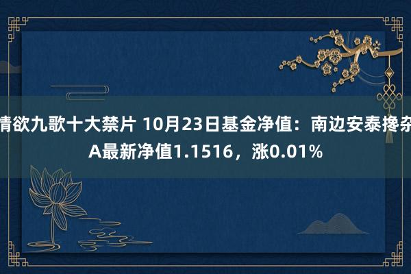 情欲九歌十大禁片 10月23日基金净值：南边安泰搀杂A最新净值1.1516，涨0.01%