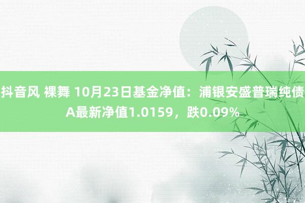 抖音风 裸舞 10月23日基金净值：浦银安盛普瑞纯债A最新净值1.0159，跌0.09%
