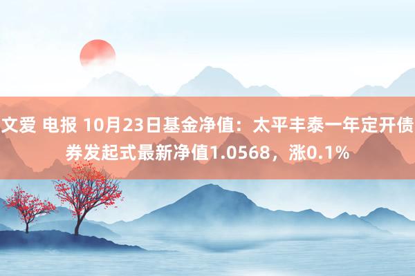 文爱 电报 10月23日基金净值：太平丰泰一年定开债券发起式最新净值1.0568，涨0.1%