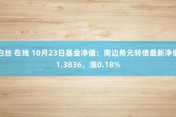 白丝 在线 10月23日基金净值：南边希元转债最新净值1.3836，涨0.18%