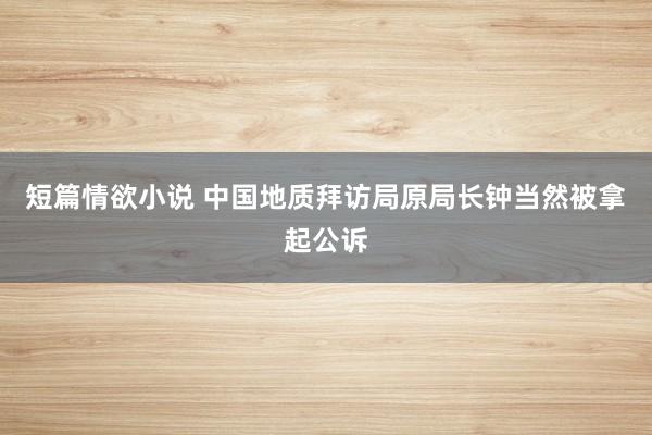 短篇情欲小说 中国地质拜访局原局长钟当然被拿起公诉