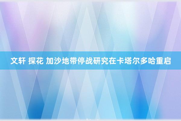 文轩 探花 加沙地带停战研究在卡塔尔多哈重启