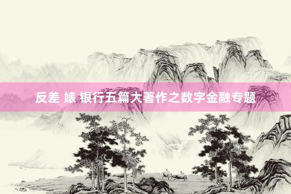 反差 婊 银行五篇大著作之数字金融专题