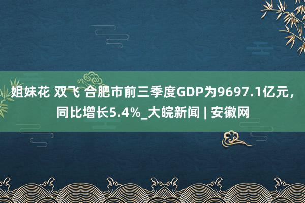 姐妹花 双飞 合肥市前三季度GDP为9697.1亿元，同比增长5.4%_大皖新闻 | 安徽网